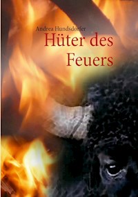 Hüter des Feuers - Andrea Hundsdorfer - ebook