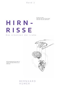 Hirnrisse - Bernhard Humer - ebook