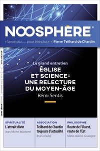 Noosphère - Numéro 19 - Association Des Amis de Pierre Teilhard de Chardin - ebook