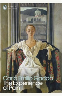 The Experience of Pain - Gadda Carlo Emilio - książka
