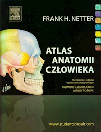 Atlas anatomii człowieka - Netter Frank H. - książka