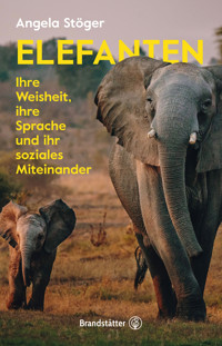 Elefanten - Angela Stöger - ebook