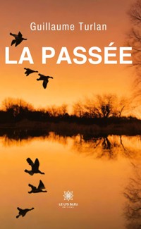 La passée - Guillaume Turlan - ebook