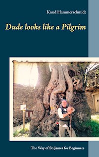Dude looks like a Pilgrim - Knud Hammerschmidt - ebook