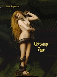 Verbotene Zone - Peter Rogenzon - ebook