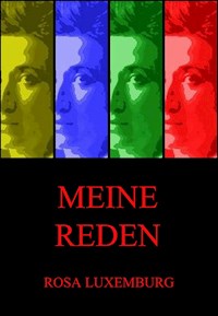 Meine Reden - Rosa Luxemburg - ebook