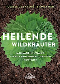 Heilende Wildkräuter - Rosalee de la Foret - ebook
