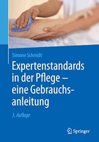 Expertenstandards in der Pflege - eine Gebrauchsanleitung - Simone Schmidt - ebook