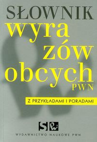 Słownik wyrazów obcych z przykładami i poradami - Lidia Drabik - książka