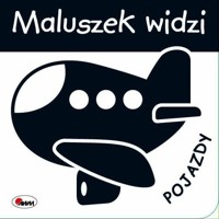 Maluszek widzi. Kształty - zbiorowa praca - książka