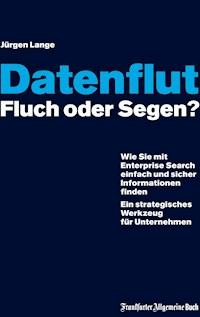 Datenflut – Fluch oder Segen? - Jürgen Lange - ebook