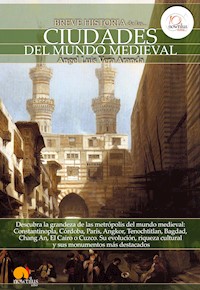 Breve historia de las ciudades del mundo medieval - Angel Luis Vera Aranda - ebook