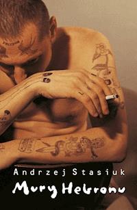 Mury Hebronu - Andrzej Stasiuk - ebook + książka