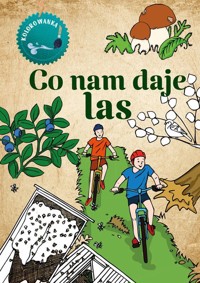 Co nam daje las. Kolorowanka - Katarzyna Kopiec-Sekieta - książka