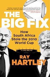 The Big Fix - Ray Hartley - ebook