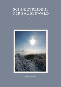 Schneetreiben / Der Zauberwald - Marina Bastian - ebook