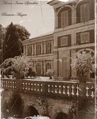 Braune Augen - Anna-Irene Spindler - ebook