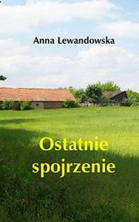 Ostatnie spojrzenie - Anna Lewandowska - książka
