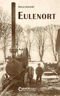 Eulenort - Harry Schmidtt - ebook