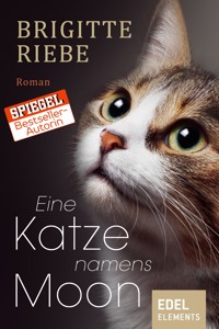 Eine Katze namens Moon - Brigitte Riebe - ebook