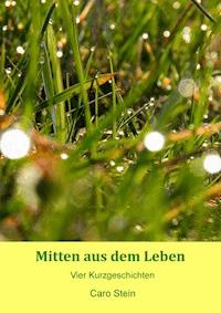 Mitten aus dem Leben - Caro Stein - ebook