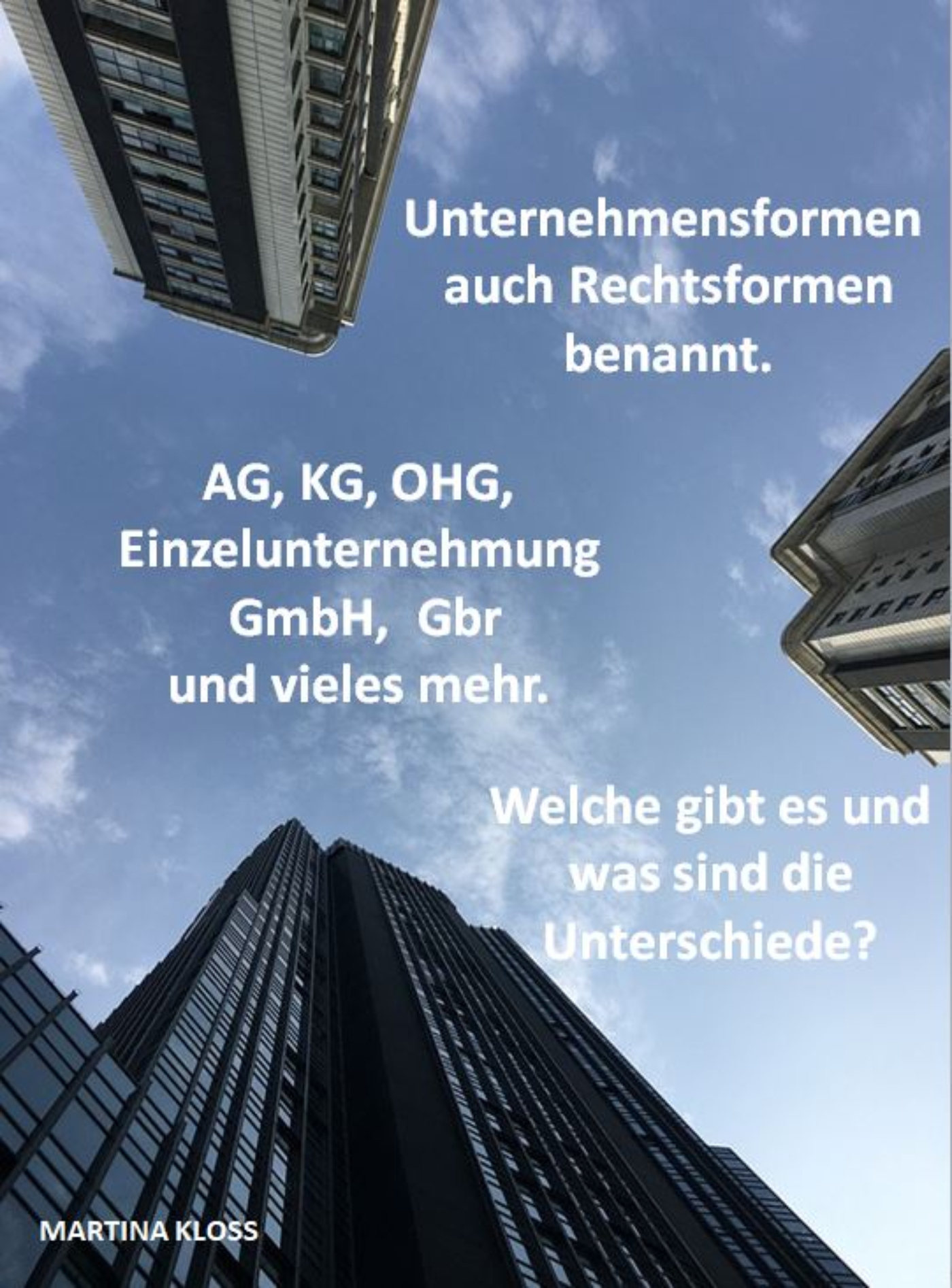 Unternehmensformen auch Rechtsformen benannt. Welche gibt es und was sind die Unterschiede. - Martina Kloss - ebook