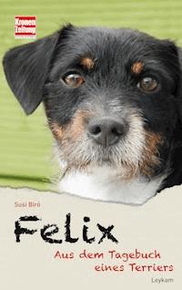 Felix - Susi Biró - ebook