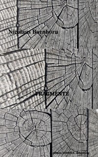 Fragmente - Nicolaus Bornhorn - ebook