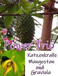 Power Trio - Alina Frey - ebook