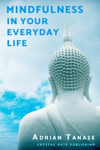Mindfulness in Your Everyday Life - Adrian Tanase - ebook