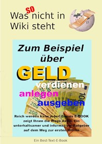 Geld - was so nicht in Wiki steht - Erwin Hollecker - ebook