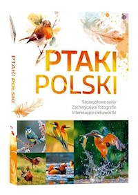 Ptaki Polski / SBM - Dominik Marchowski - książka