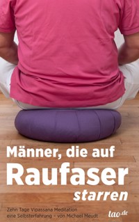 Männer, die auf Raufaser starren - Michael Meudt - ebook