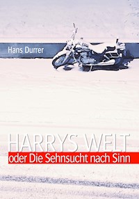 Harrys Welt oder Die Sehnsucht nach Sinn - Hans Durrer - ebook