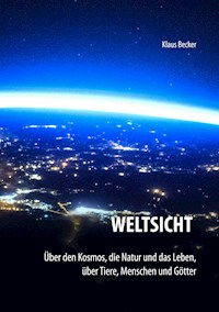 Weltsicht - Klaus Becker - ebook