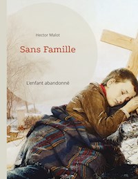 Sans Famille - Hector Malot - ebook