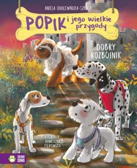 Popik i jego wielkie przygody. Dobry rozbójnik - Aniela Cholewińska-Szkolik - książka