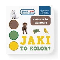 Jaki to kolor? Zwierzeta domowe -  - książka