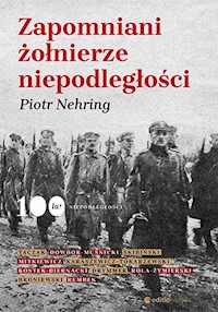 Zapomniani żołnierze niepodległości - Nehring Piotr - ebook + książka