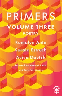 Primers Volume Three - Aviva Dautch - ebook