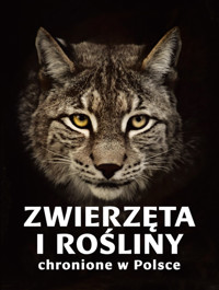 Zwierzęta i rośliny chronione w Polsce - Sieńko-Holewa Izabella, Weber Sylwia - książka