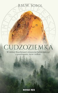 Cudzoziemka - B.M.W. Sobol - ebook + audiobook + książka