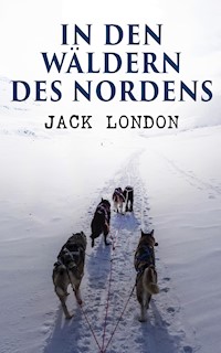 In den Wäldern des Nordens - Jack London - ebook