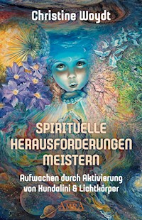 SPIRITUELLE HERAUSFORDERUNGEN MEISTERN - Christine Woydt - ebook