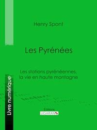 Les Pyrénées - Henry Spont - ebook