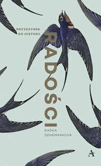 Przyczynek do historii radości - Radka Denemarková - książka