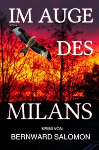 Im Auge des Milans - Bernward Salomon - ebook