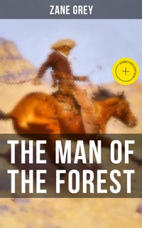 THE MAN OF THE FOREST - Grey Zane - ebook