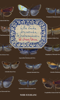 Wycieczka do Szerszeniowiec. W stronę Leca - Lidia Kośka - ebook + książka