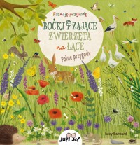 Boćki i zające Zwierzęta na łące Polne przygody - Lotz Katharina - książka